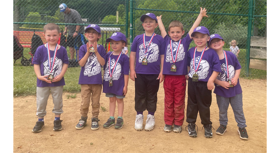 2023 - Purple Tee Ball Team